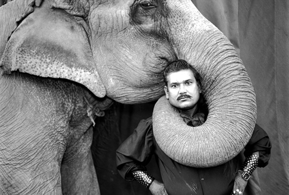 Ram Prakash Singh with His Elephant Shyama