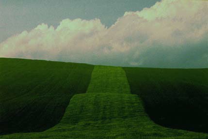 franco fontana