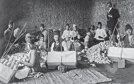 Emballage des oranges à Jaffa par des ouvriers chrétiens sous l’oeil du propriétaire des orangeraies.