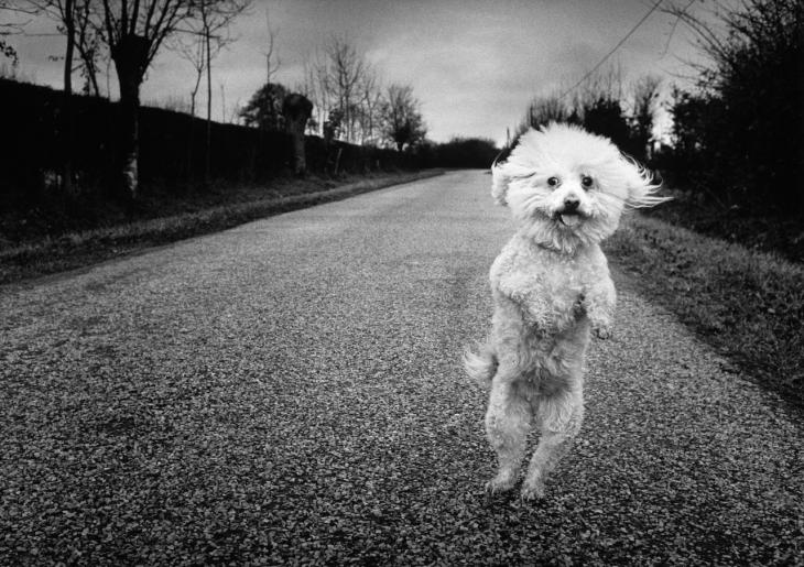 France 1997 © Michel Vanden Eeckhoudt Courtesy Agence Vu