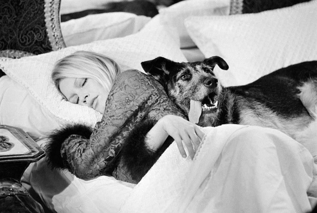 Brigitte_Bardot_dog