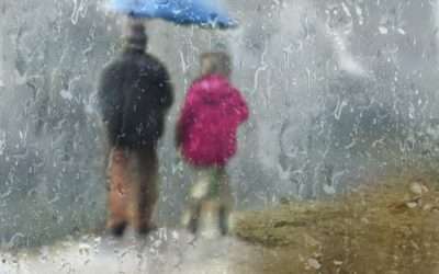 Après la Pluie Photographies de Nadine Vessier